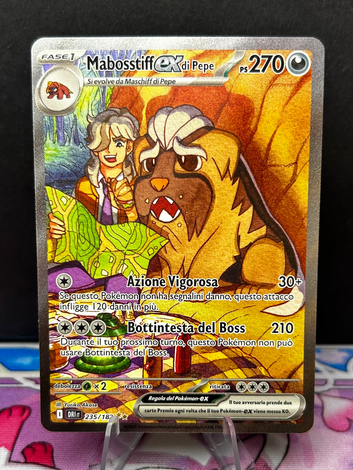 Mabosstiff Ex di Pepe- DRI 235